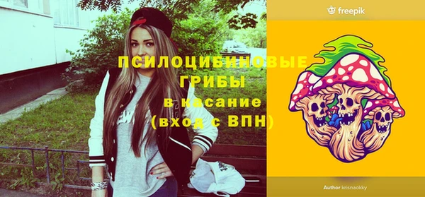 тгк Алексин