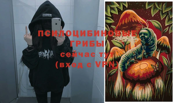 тгк Алексин